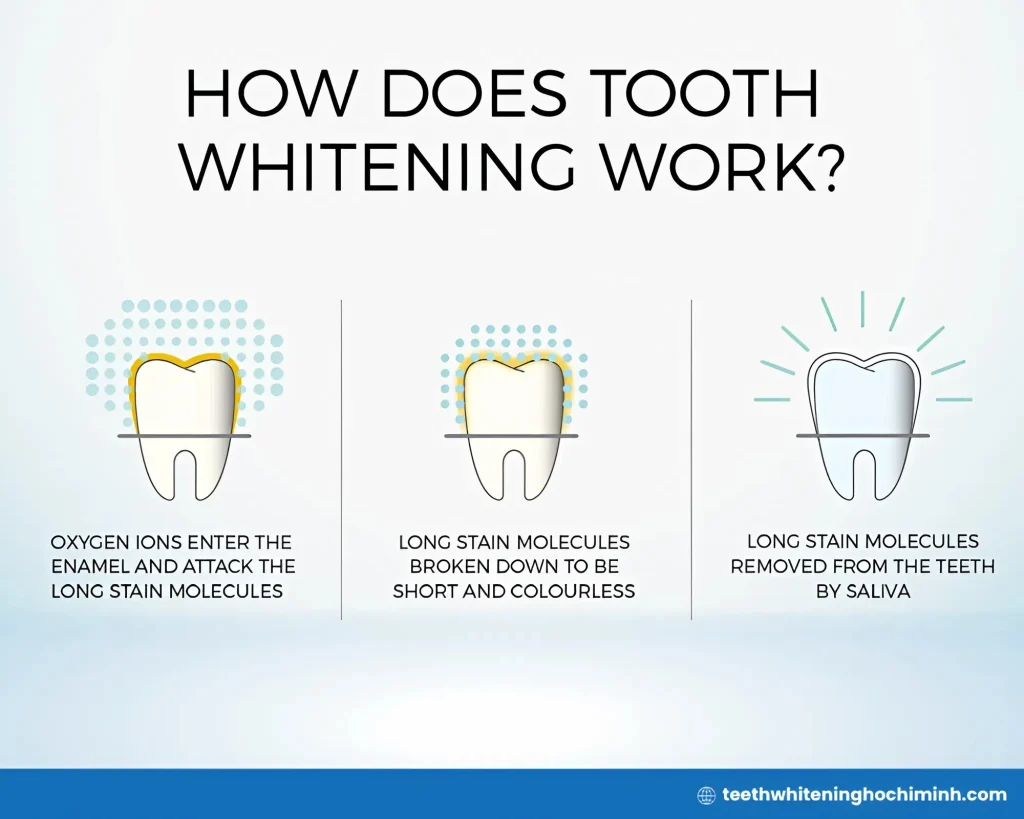 pola day teeth whitening