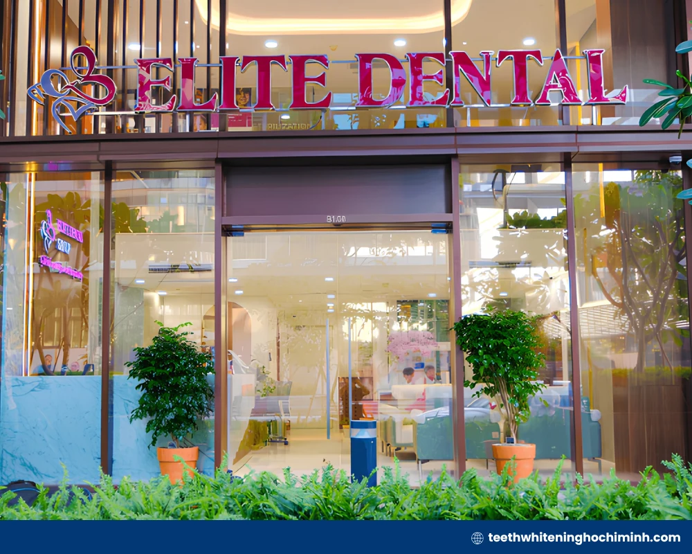 Elite Dental